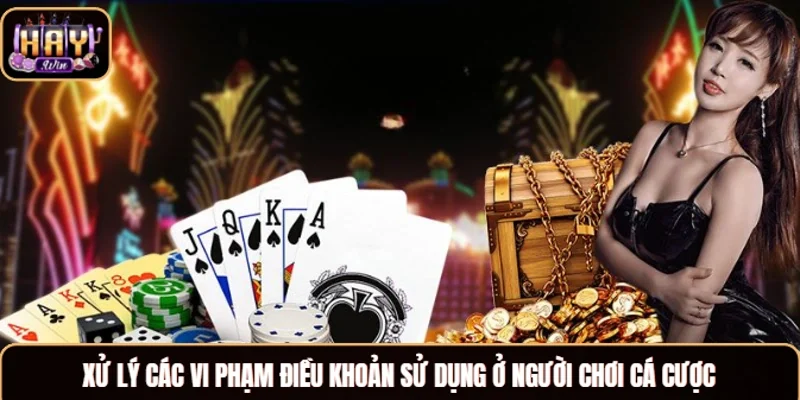Xử lý các vi phạm điều khoản sử dụng ở người chơi cá cược