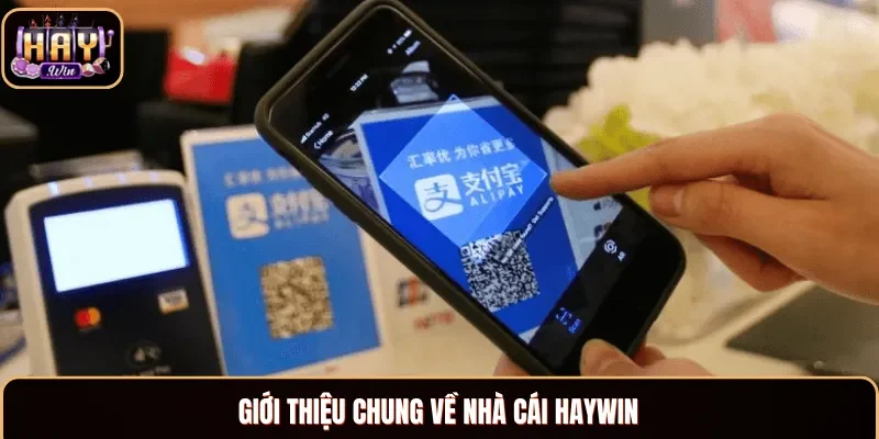 Tìm hiểu thông tin về nhà cái Haywin