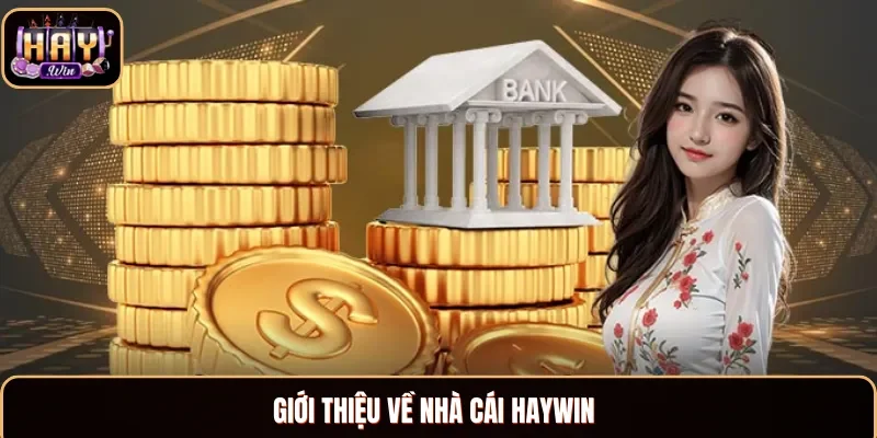 Bật mí thông tin về nhà cái Haywin